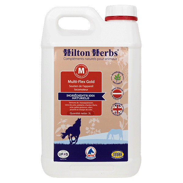 Multiflex Gold Hilton Herbs
