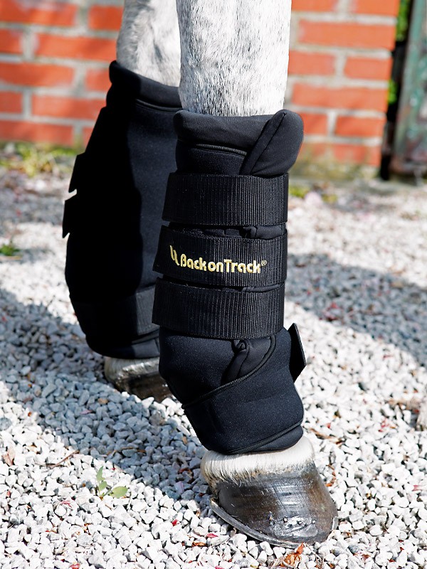 Botas Estáveis Royal Back on Track Botas Estáveis Royal Back on Track