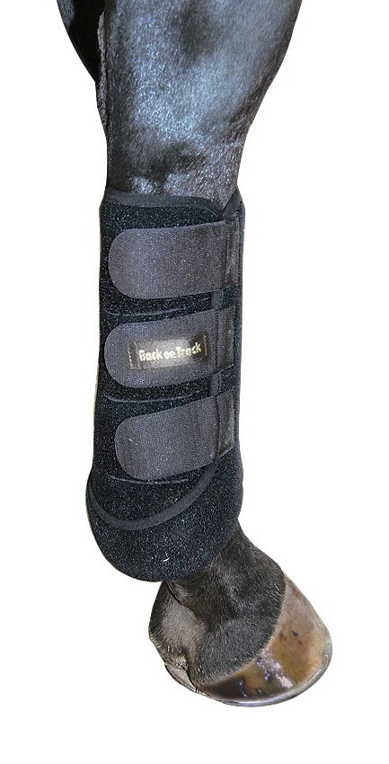 Guizeiras posteriores Back on Track Preto Guizeiras posteriores Back on Track Preto