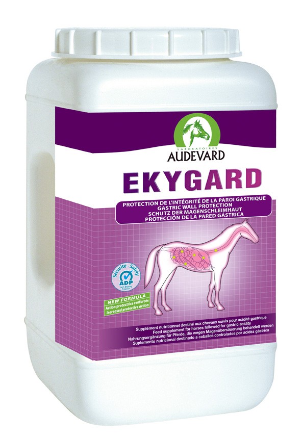 Ekygard Audevard Ekygard Audevard