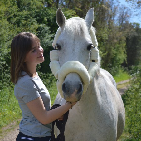 Cabresto de Transporte Flags & Cup