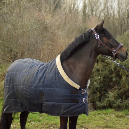Cobertura de estábulo Equithème Teddy