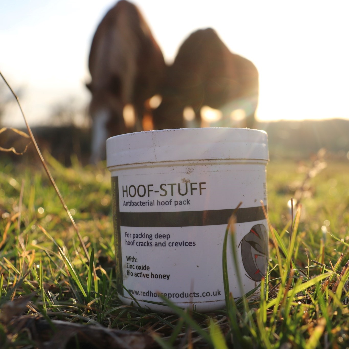 Hoof Stuff Red Horse