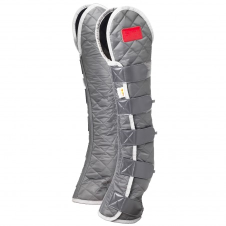 Guarcheiras magnéticas altas Equilibrium