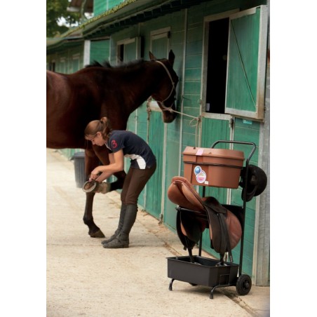 Carrinho porta-sela com baú de escovagem Box Colors La Gée