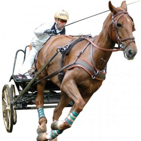 Bridão MARATHON Eric Le Tixerant