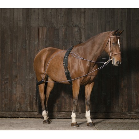 Enrêno de roldanas Norton