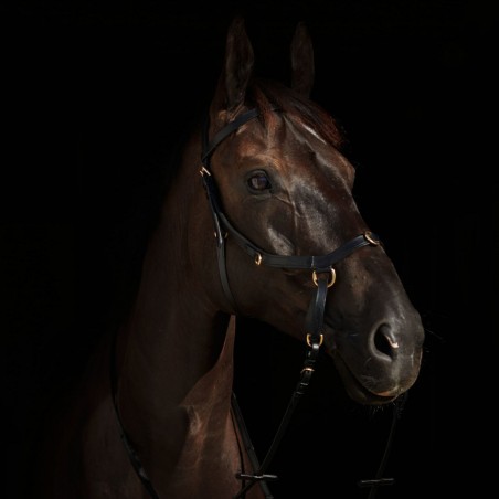 Bridão combinado Orlando Horze sem embocadura em couro