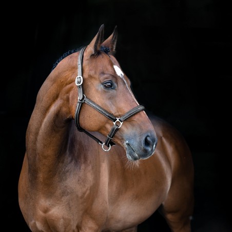 Caveção de couro macio Warren Horze