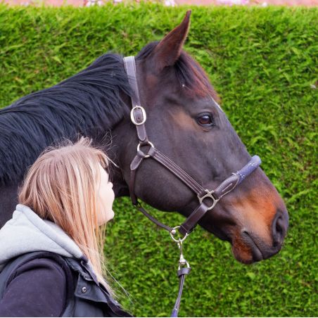 Corda de cabeçada Canter