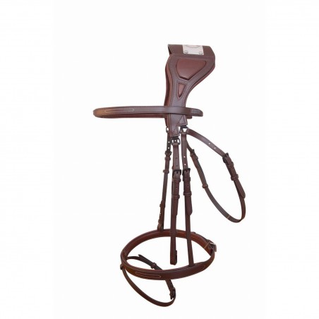 Bridão com ponte Chagall T de T