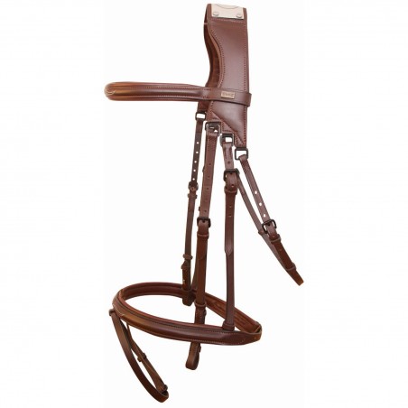 Bridão com ponte Raphaël T de T