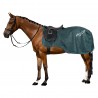 Cobre-rins Imperial Riding Super-dry 0gr - Verde floresta