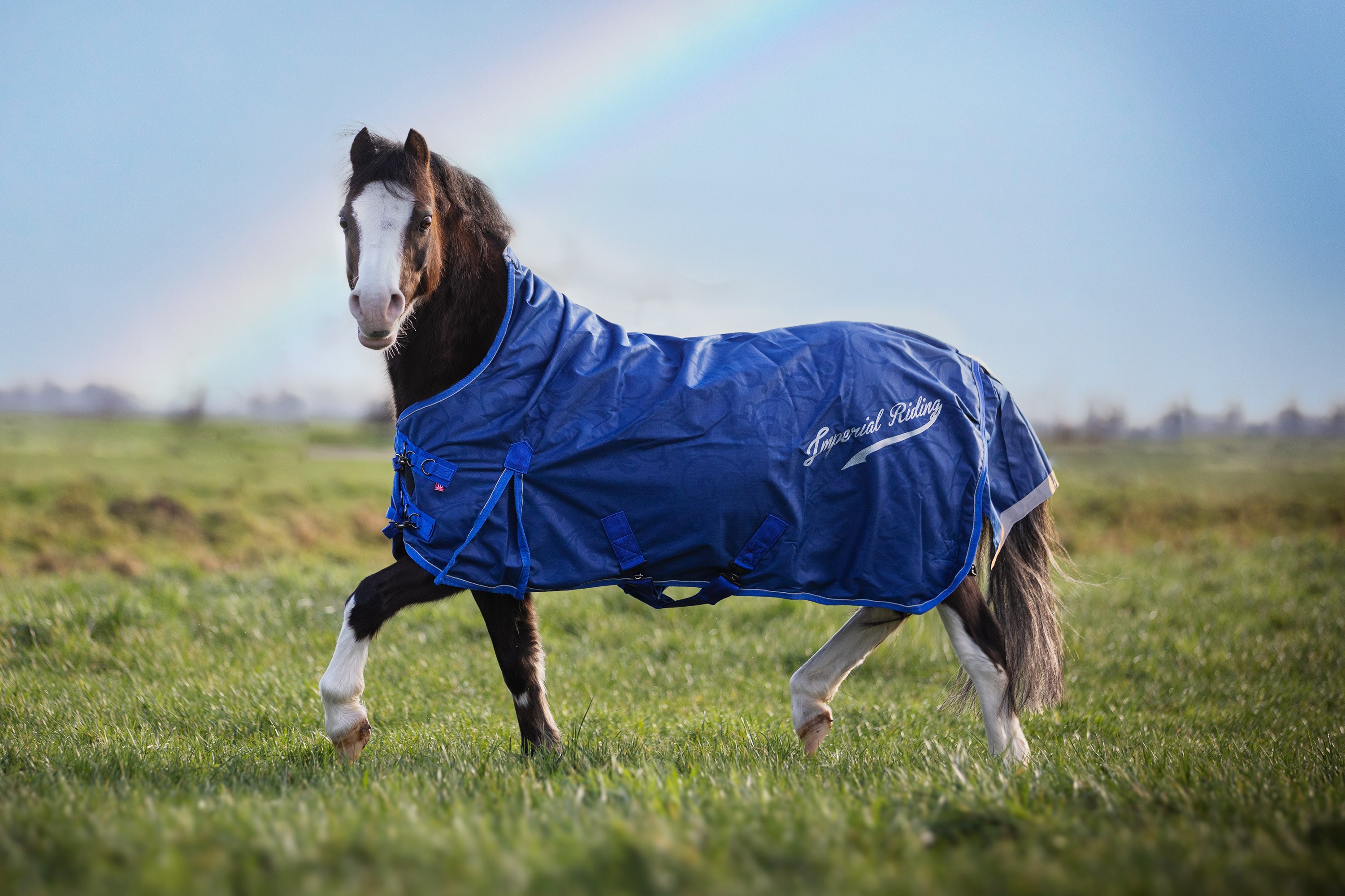 Cobertura de paddock Imperial Riding Super-dry 200gr Vermelho