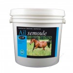 Alho granulado Horse Master