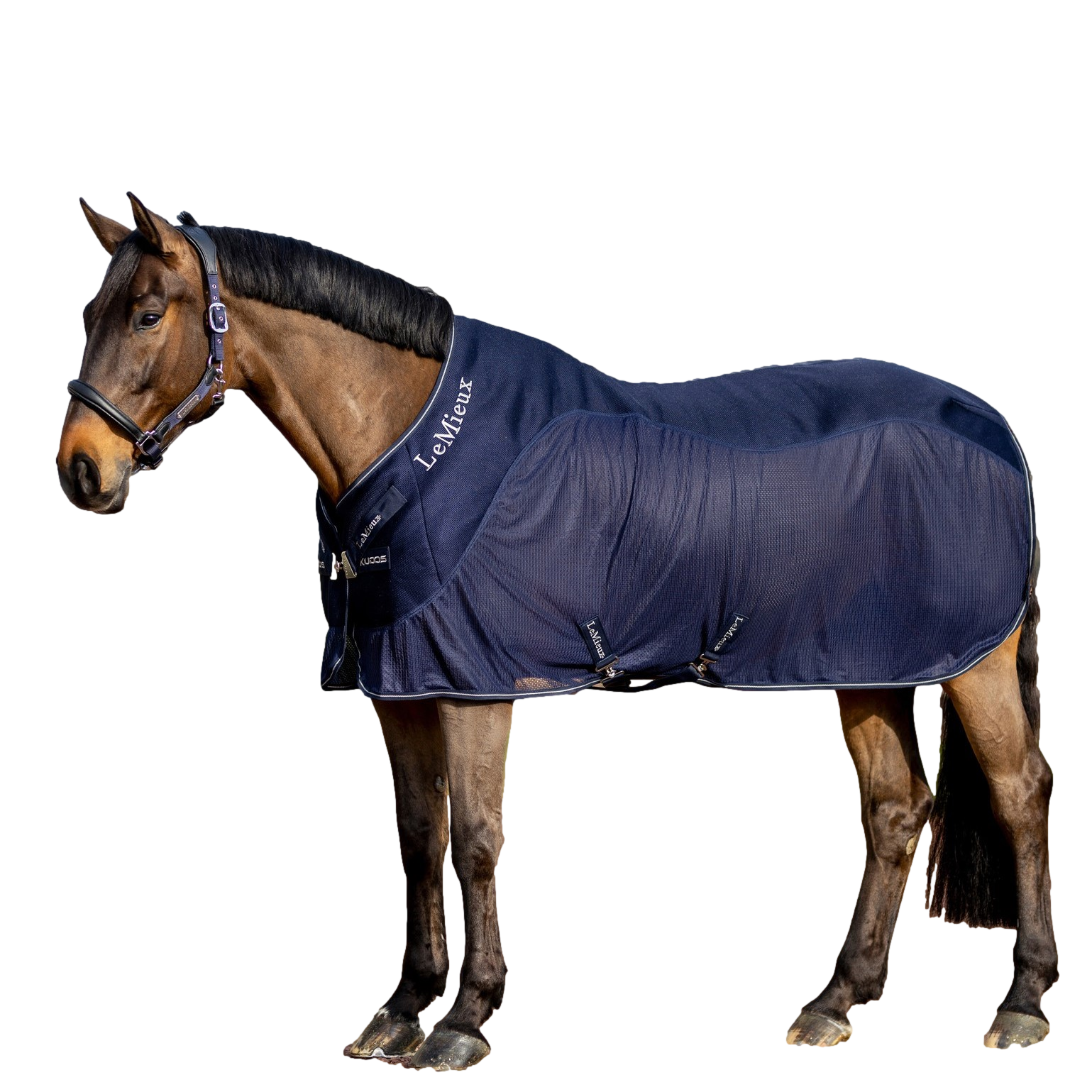 Cobertura Mesh Sports Cooler LeMieux Azul-marinho Cobertura Mesh Sports Cooler LeMieux Azul-marinho