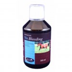 Sem sangramento Mestre de Cavalos