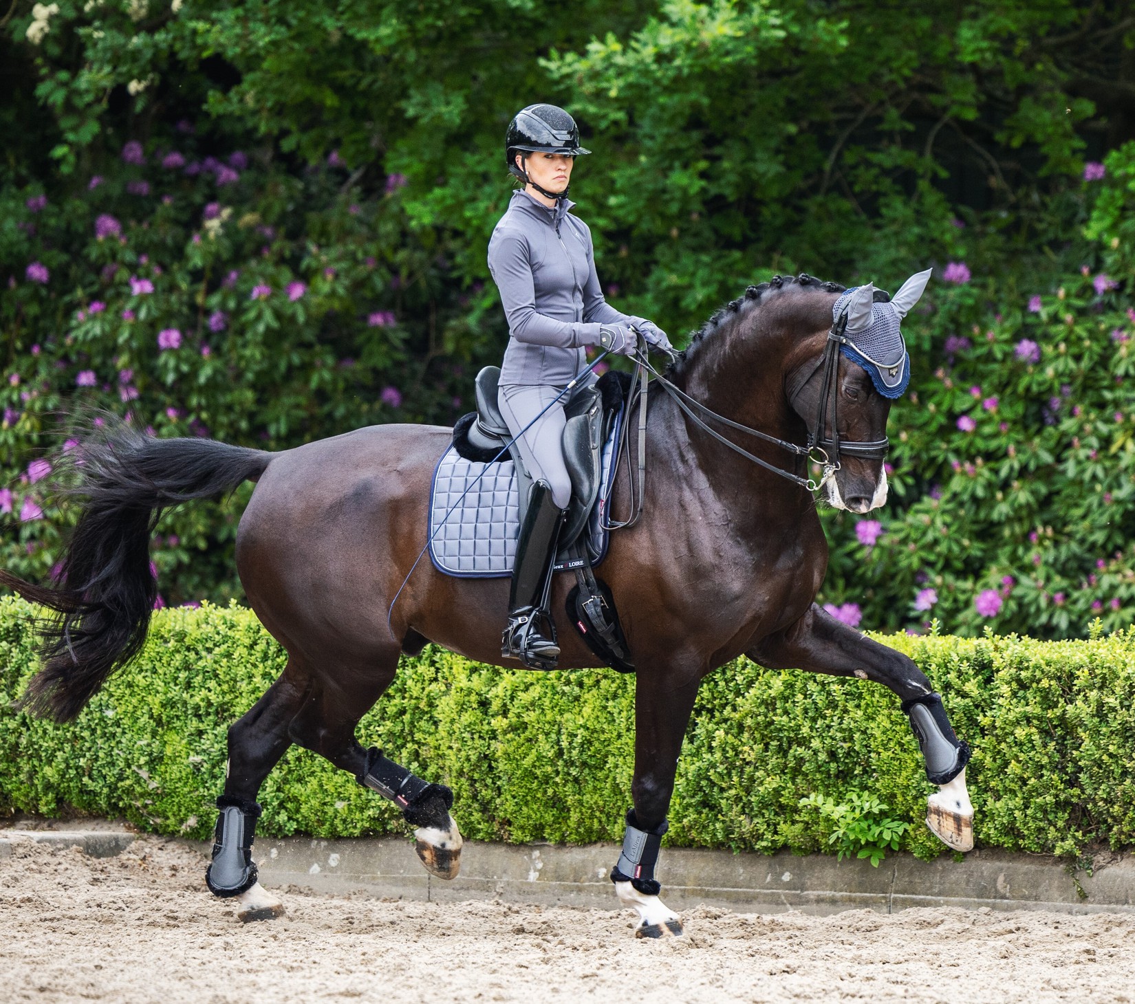 Tapete LeMieux Loire... Tapete LeMieux Loire...