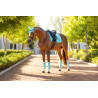 Tapete LeMieux Loire Classic Dressage Square - Azul