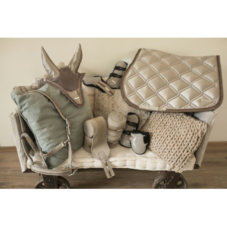 Guérréias e protetores de boleto Lami-Cell Aurora