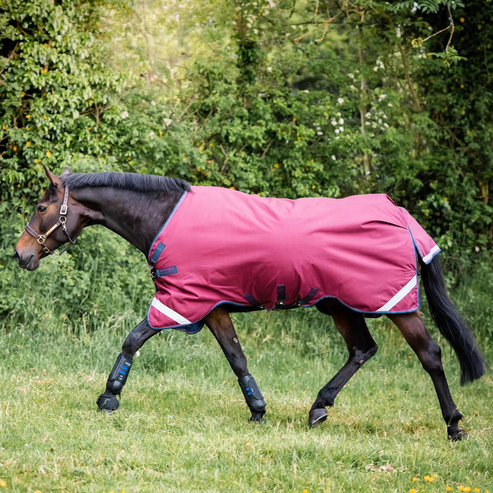 Capa Horseware Rambo Original 0g com Leg Arches Bordéus Bord&amp;amp;amp;amp;amp;ocirc;