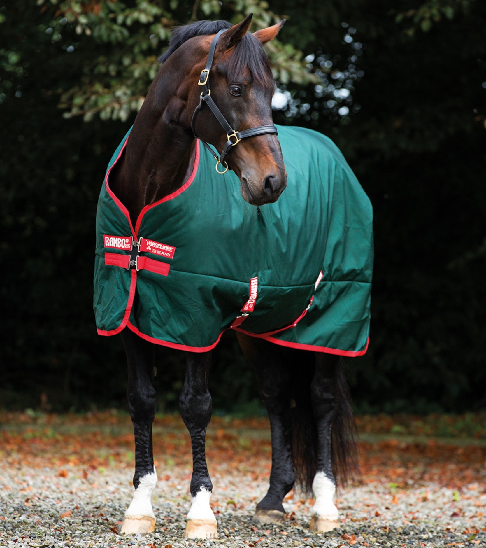 Capa de exterior Horseware Rambo Original 0g Verde / vermelho