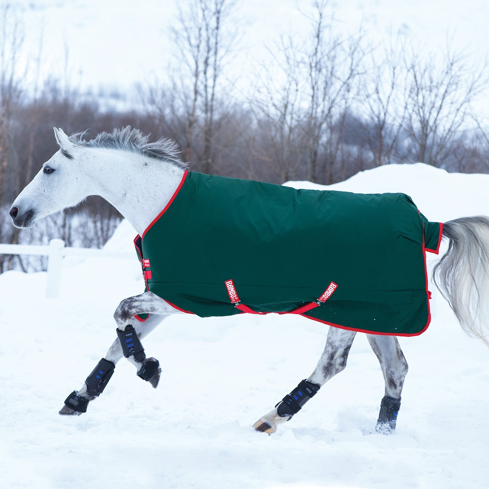 Capa de exterior Horseware Rambo Original 400g Verde / vermelho