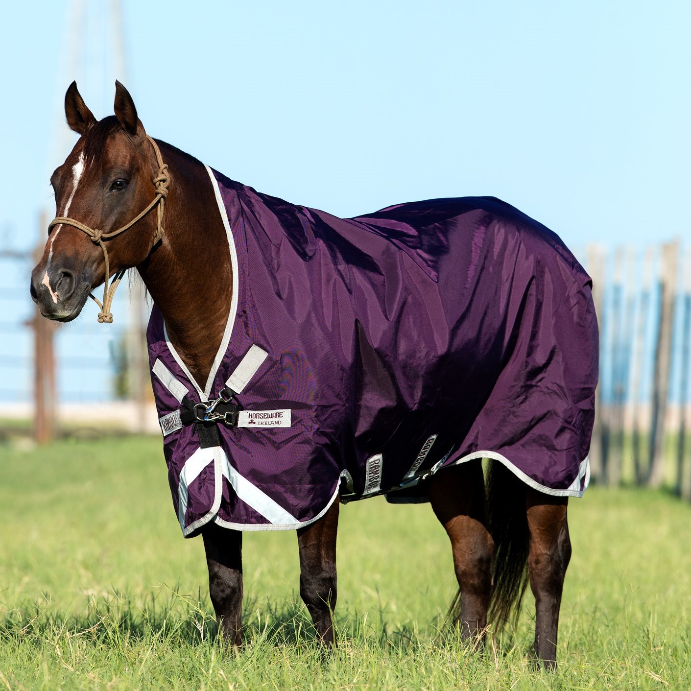 Cobertura externa Horseware Rambo Wug 0g 1000D Violeta / prateado