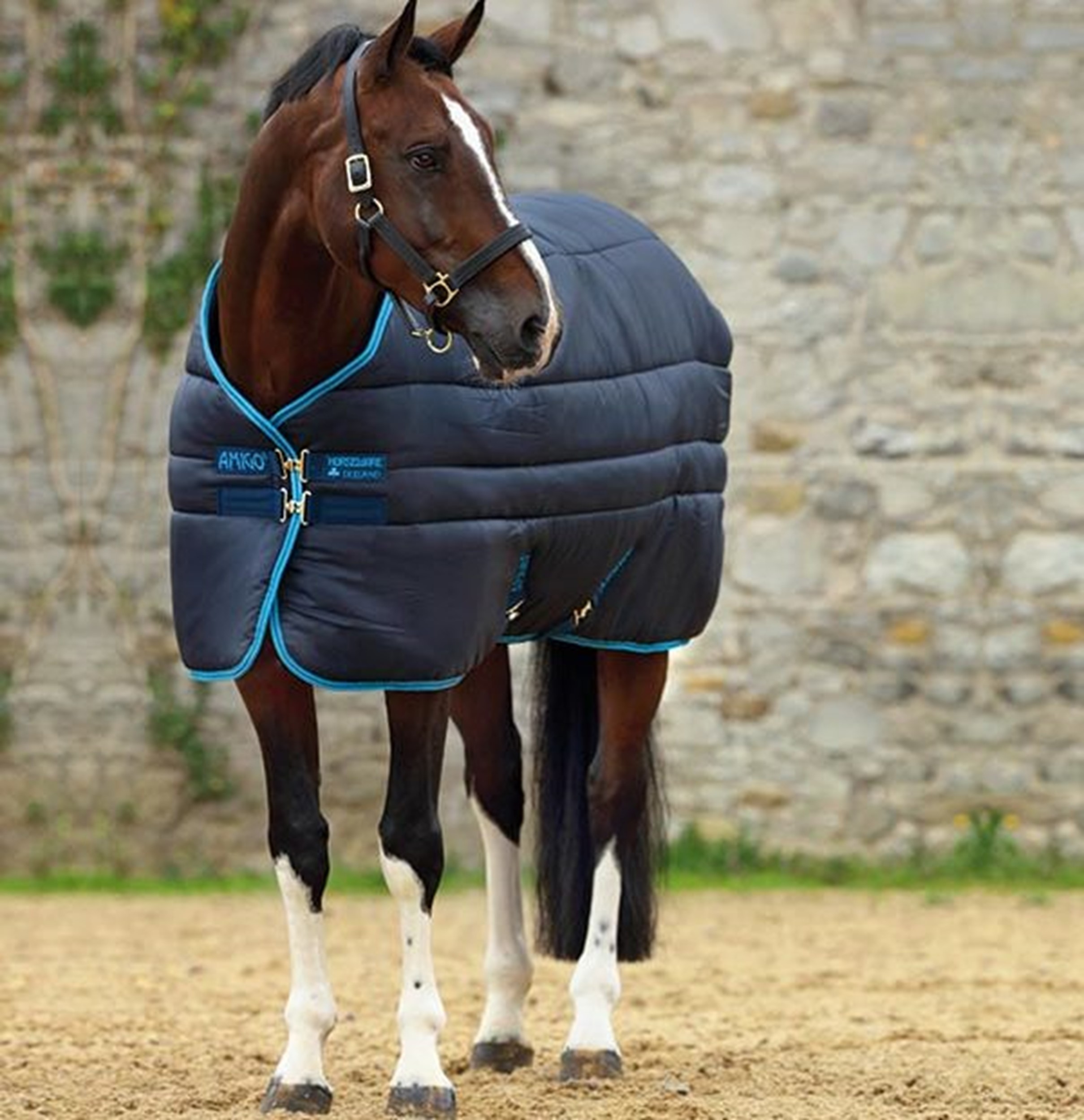 Cobertura Horseware Amigo Insulator Plus Super 550g 420D Marinho/ azul elétrico