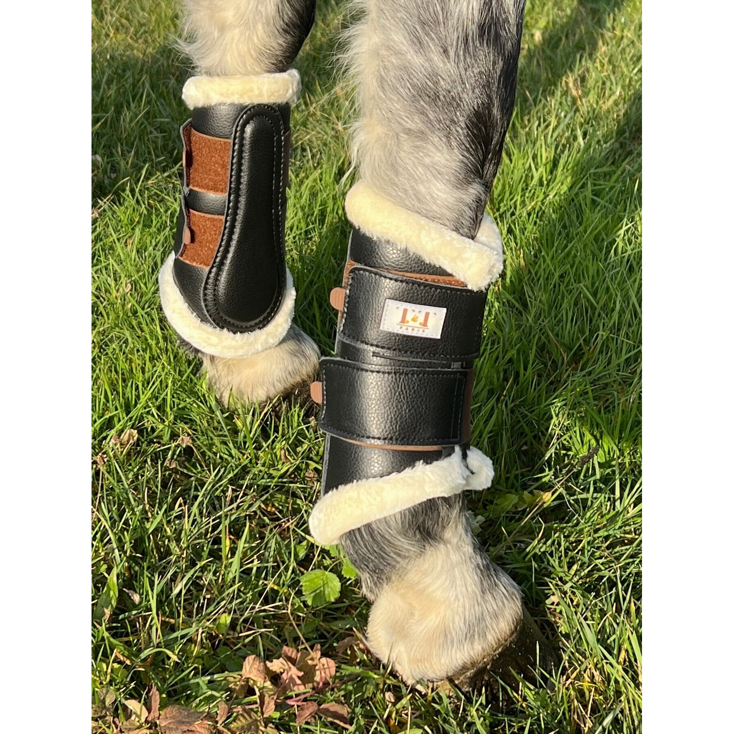 Guétras de dressage dianteiras T de T Preto / tabaco