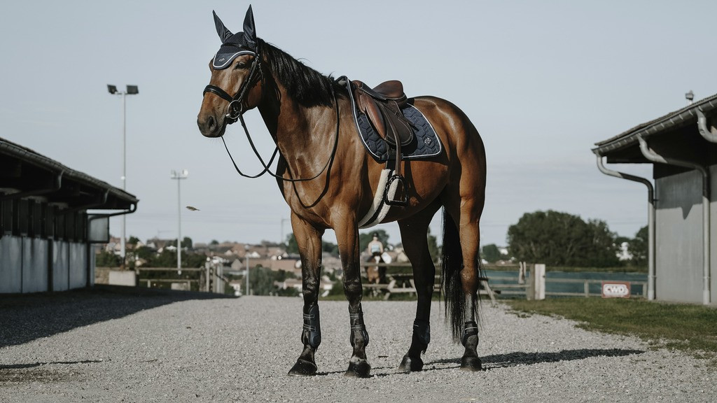 Boné anti-moscas Equithème French Touch Preto