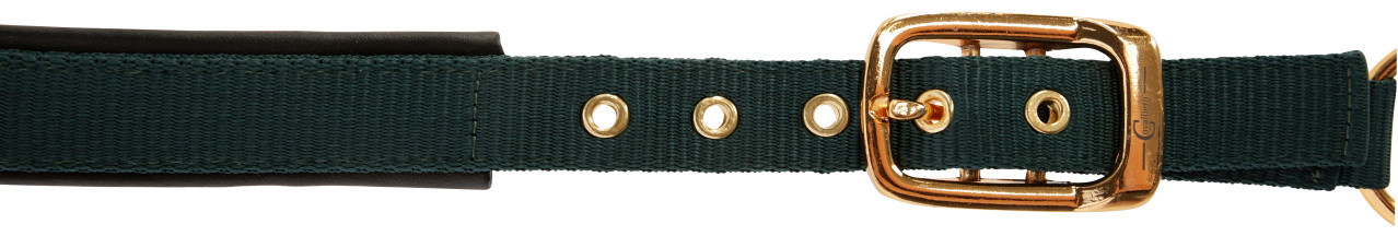 Cabresto TopLine Covalliero Verde floresta