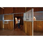 FASSADE ÖFFNEND HOLZ - Nordische Kiefer / Sprossen