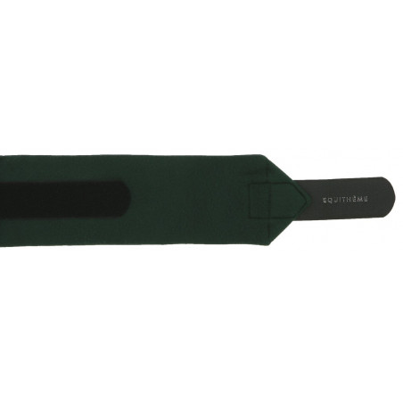 Bandas de polo Equithème