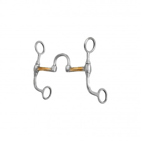 Mors correcional western Pool's