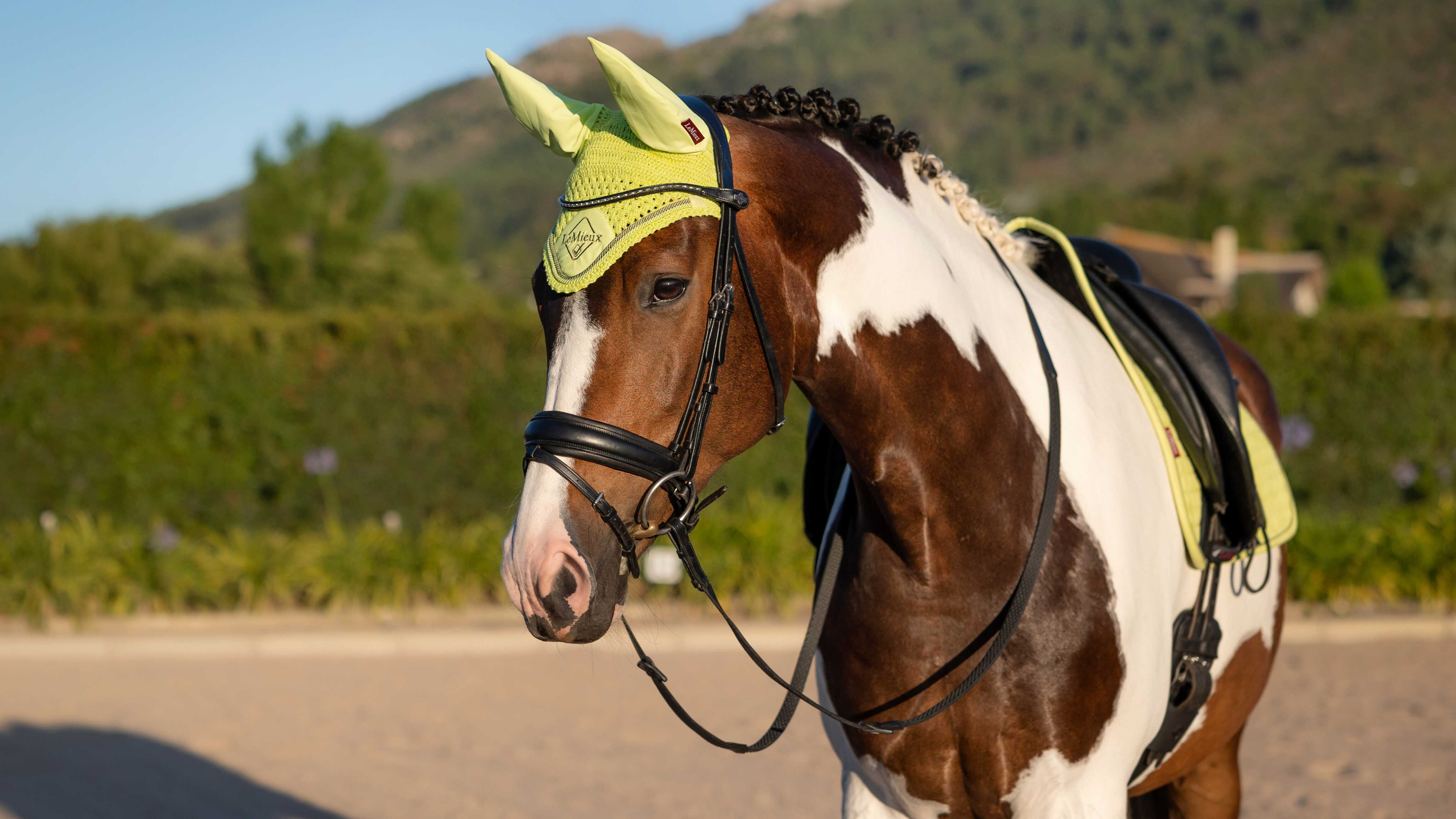 Boné anti-moscas LeMieux Classic Preto