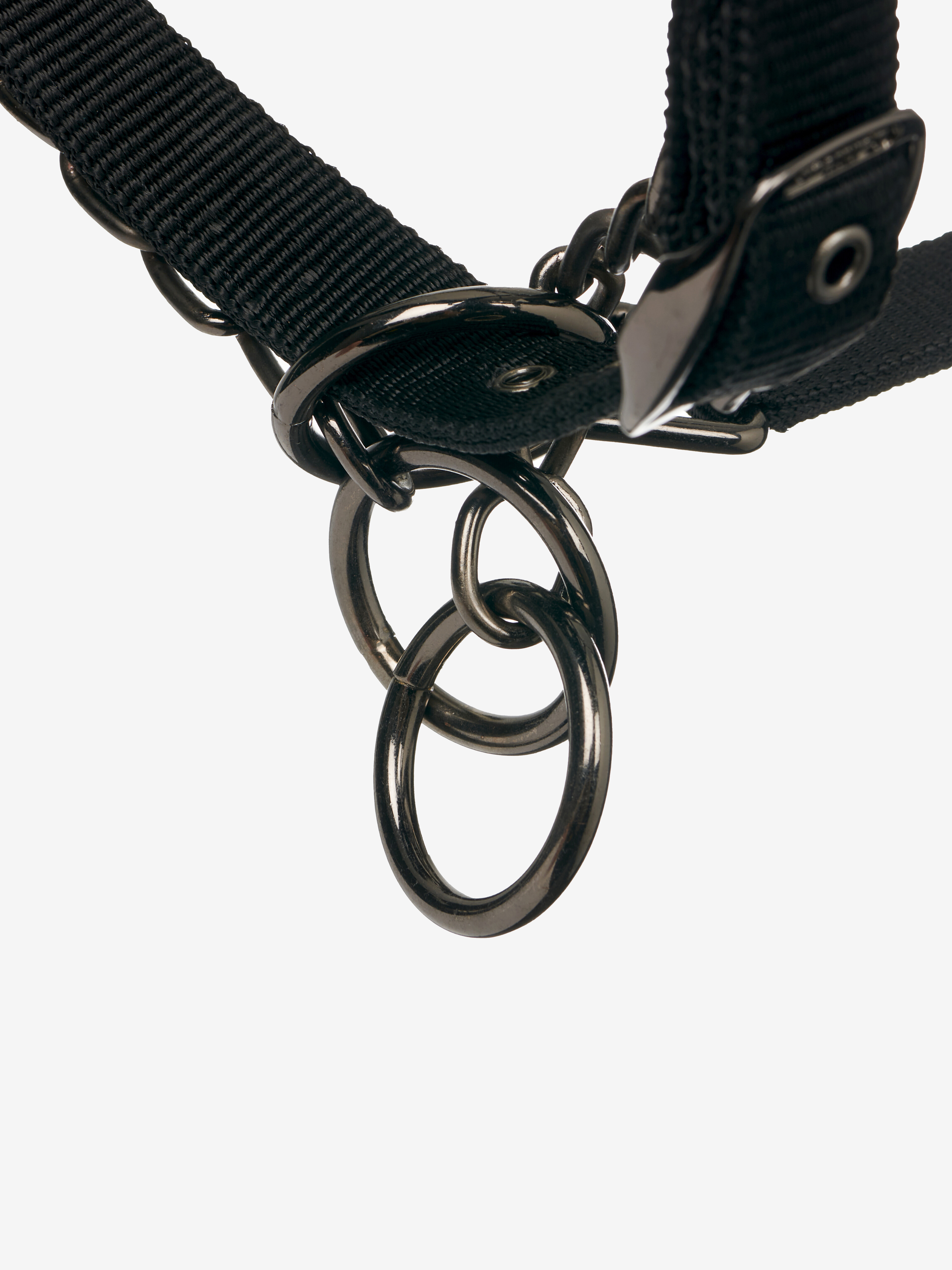 Licol LeMieux ProSafe Preto modelo antigo