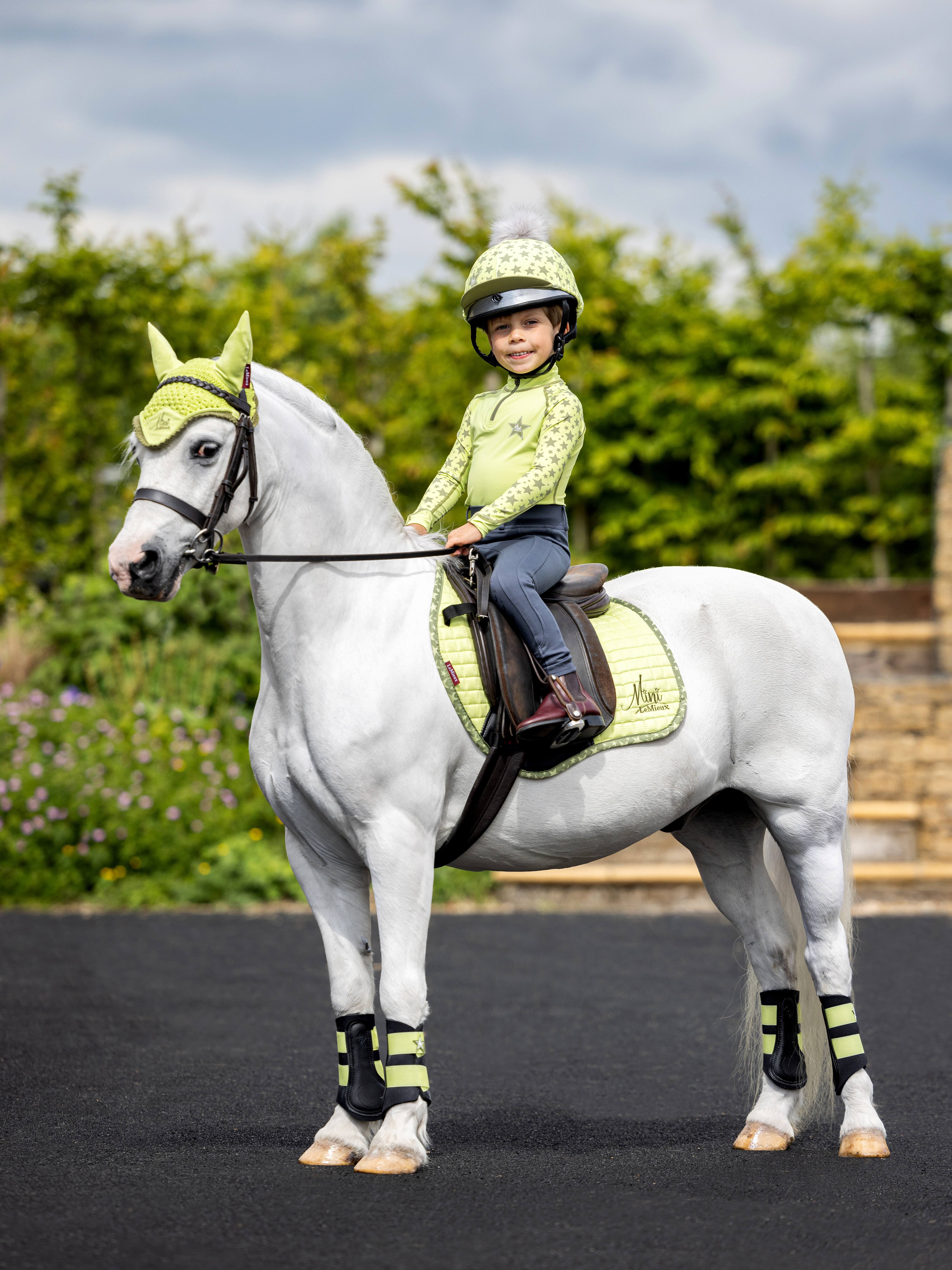 Tapis Mini LeMieux Suede Jump Square Chilli modelo antigo Vermelho Tapis Mini LeMieux Suede Jump Square Chilli modelo antigo Vermelho