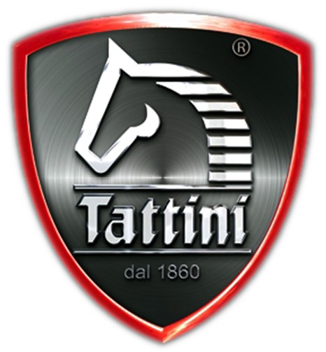Tattini