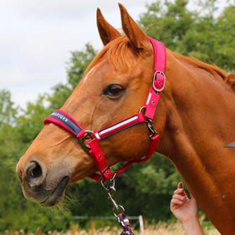 Descubra a coleção Tommy Equestrian Primavera/Verão 2026
