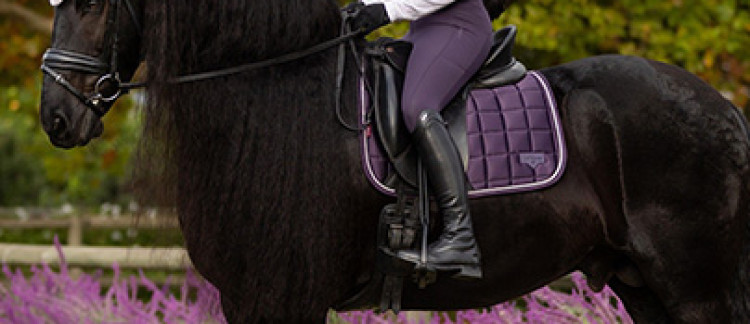 Descubra a coleção LeMieux Outono/Inverno 2025