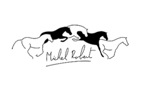 Michel Robert