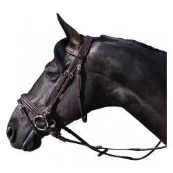Bridon Hickstead Flags & Cup Bridon Hickstead Flags & Cup