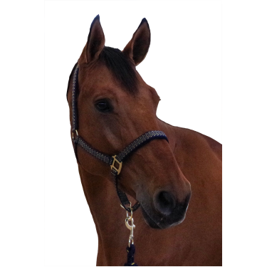 Conjunto de cabresto + corda Sonoma Canter Conjunto de cabresto + corda Sonoma Canter