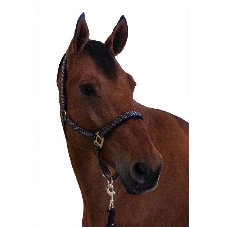Conjunto de cabresto + corda Sonoma Canter Conjunto de cabresto + corda Sonoma Canter
