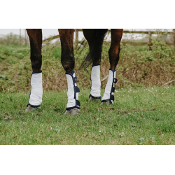 Polainas anti-moscas Riding World em conjunto de 4 Polainas anti-moscas Riding World em conjunto de 4