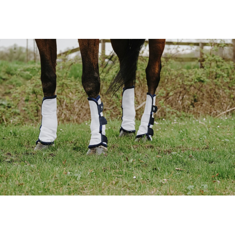 Polainas anti-moscas Riding World em conjunto de 4 Polainas anti-moscas Riding World em conjunto de 4