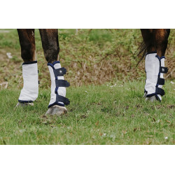 Polainas anti-moscas Riding World em conjunto de 4 Polainas anti-moscas Riding World em conjunto de 4