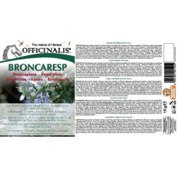 Alimento complementar Officinalis® Broncaresp Eucalipto Alimento complementar Officinalis® Broncaresp Eucalipto