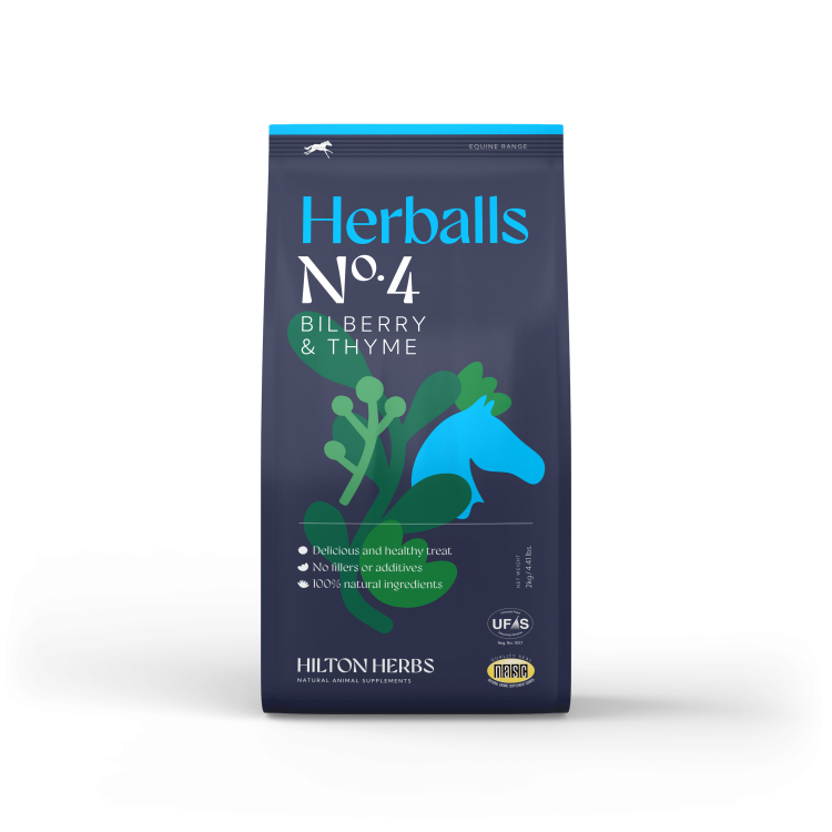 Herballs N° 4 Mirtilo & Tomilho Hilton Herbs